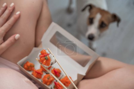 A pregnant woman sits on the sofa and eats rolls. Jack Russell Terrier dog sits on the floor and begs for food from its owner