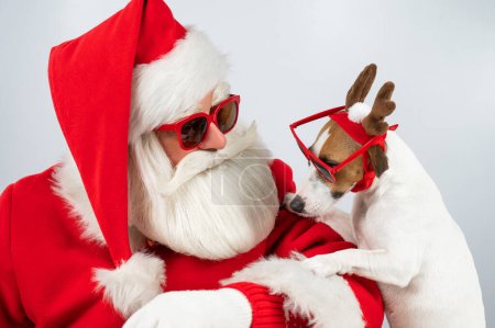 Photo for Portrait of santa claus in sunglasses and dog jack russell terrier in rudolf reindeer ears on a white background - Royalty Free Image