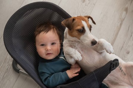 A dog and a cute three-month-old boy dressed in a blue overalls are sitting together in a baby lounger