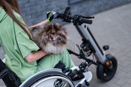 Foto de Una mujer en silla de ruedas con un dispositivo de asistencia de control manual lleva un perro merle Spitz. Handbike eléctrico - Imagen libre de derechos