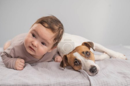 Porträt eines Babys auf dem Bauch liegend und eines Jack Russell Terrier Hundes