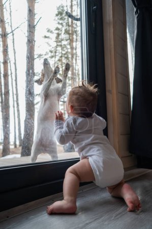 Foto de El perro se para en la ventana del patio y golpea su pata en el cristal hacia el bebé de pie desde un lado. Foto vertical - Imagen libre de derechos