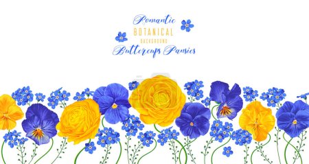Horizontaler Rahmen mit gelben und blauen Blüten von Ranunkeln und Stiefmütterchen auf weißem Hintergrund. Botanischer Hintergrund zum Thema Frühling. Handgezeichnet, Vektor, botanisches Blumenmuster in realistischem Stil. 