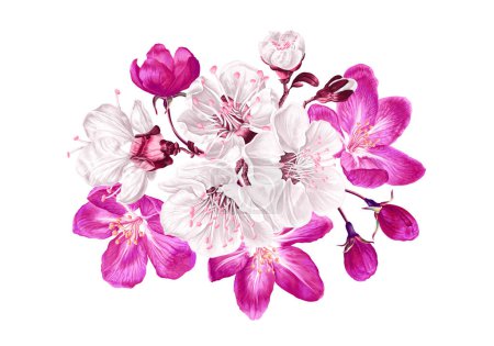 Composition florale avec des fleurs d'arbres fruitiers. Illustration botanique avec des plantes à ressort dessinées à la main en détail. Sakura blanc et rose, fleurs de cerisier, abricot, pomme ou cerisier