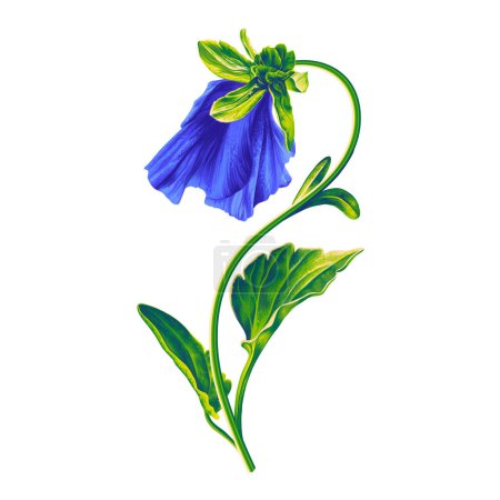 Eine Stiefmütterchenblume, eine blaue Viola, ist bereit, eine Knospe an einem empfindlichen grünen Stiel zu öffnen. Handgezeichnete botanische Illustration mit hohem Detailreichtum. Blume Clip Art isoliert auf weißem Hintergrund