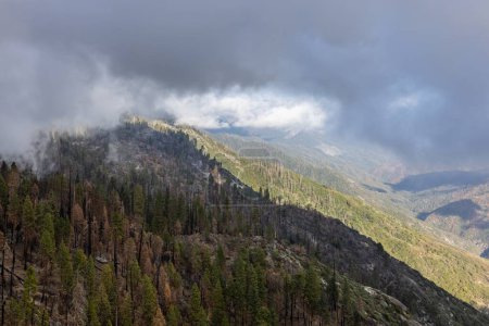 Foto de Parque Nacional Sequoia, California, EE.UU. - 17 de septiembre - vista del paisaje del Parque Nacional Sequoia - Imagen libre de derechos