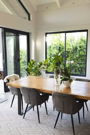 A modern dining room features a wooden table with gray chairs and a sleeping cat, with copy space. Large windows allow natural light to fill the space, highlighting the indoor-outdoor flow.