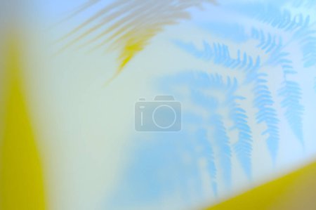 Téléchargez les photos : Creative layout with a branch of fern over white background. Concept art idea with shadows. Nature concept. - en image libre de droit