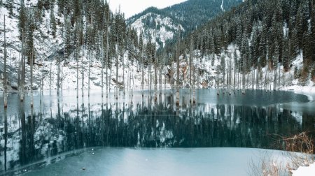 Téléchargez les photos : Des troncs de conifères sortent d'un lac de montagne. Une eau douce comme un miroir reflète les montagnes enneigées et la forêt. Hauts sommets dans les nuages. Le lac Kaindy gèle. Des buissons poussent sur le rivage - en image libre de droit