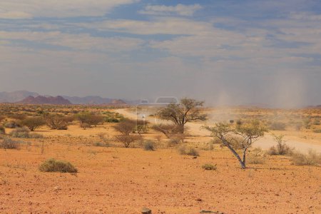 Téléchargez les photos : Paysage namibien le long de la route de gravier. Sol jaune et végétation africaine autour. Damaraland, pays d'origine en Afrique du Sud-Ouest, Namibie. - en image libre de droit