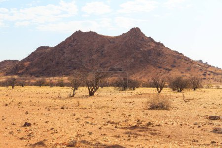Téléchargez les photos : Paysage namibien, sol rouge et végétation africaine autour. Damaraland, pays d'origine en Afrique du Sud-Ouest, Namibie. - en image libre de droit