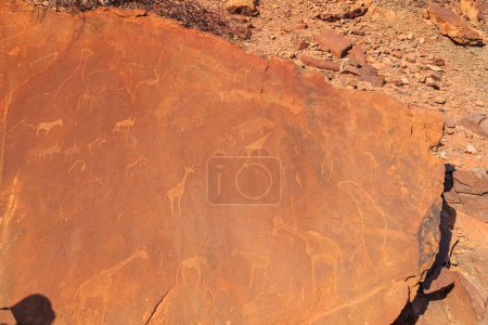 Photo for Twyfelfontein, site of ancient rock engravings in the Kunene Region of north-western Namibia. Prehistoric Bushman engravings, rock painting. - Royalty Free Image