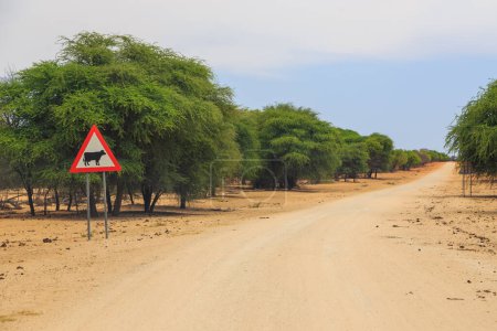 Foto de Camino de grava al Parque Nacional Waterberg Plateau. Hermoso paisaje africano. Namibia. - Imagen libre de derechos