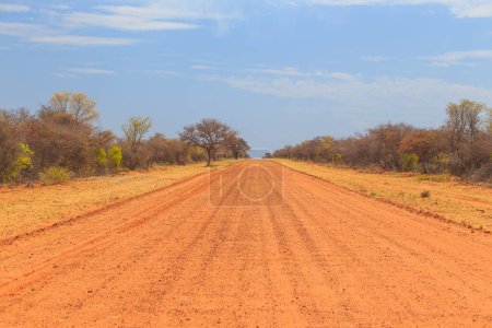 Foto de Camino de grava al Parque Nacional Waterberg Plateau. Hermoso paisaje africano. Namibia. - Imagen libre de derechos