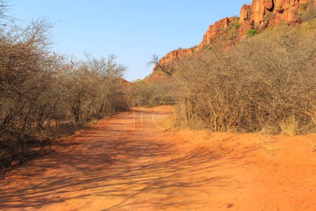 Téléchargez les photos : View towards the Waterberg Plateau. Beautiful african landscape. Waterberg Plateau National Park, Namibia. - en image libre de droit