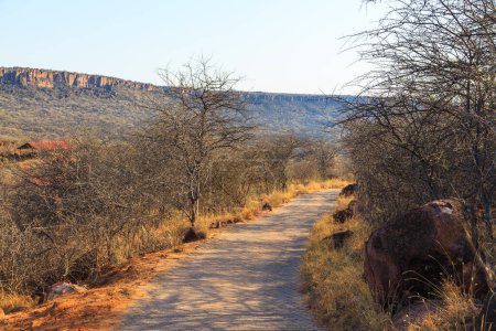 Foto de Vista hacia la meseta de Waterberg. Hermoso paisaje africano. Parque Nacional Waterberg Plateau, Namibia. - Imagen libre de derechos