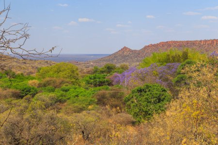 Foto de Waterberg Plateau National Park, Kalahari, Otjiwarongo, Namibia, África. Hermoso paisaje africano. Formación rocosa. - Imagen libre de derechos