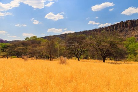 Téléchargez les photos : Waterberg Plateau National Park, Kalahari, Otjiwarongo, Namibia, Africa. Beautiful african landscape. Rock formation. - en image libre de droit