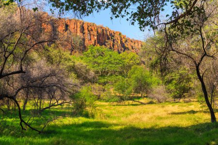 Téléchargez les photos : Waterberg Plateau National Park, Kalahari, Otjiwarongo, Namibia, Africa. Beautiful african landscape. Rock formation. - en image libre de droit