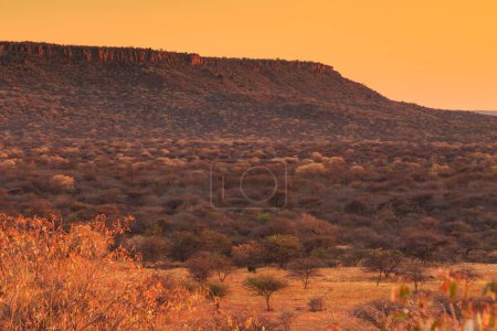 Foto de Waterberg Plateau National Park, Kalahari, Otjiwarongo, Namibia, África. Hermoso paisaje africano. Formación rocosa. Amanecer. - Imagen libre de derechos