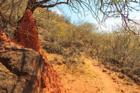 Téléchargez les photos : Andersson Trail in Waterberg Plateau National Park, Kalahari, Otjiwarongo, Namibia, Africa. Beautiful african landscape. - en image libre de droit