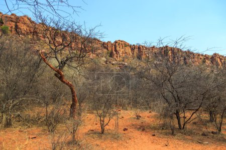 Téléchargez les photos : Andersson Trail in Waterberg Plateau National Park, Kalahari, Otjiwarongo, Namibia, Africa. Beautiful african landscape. - en image libre de droit