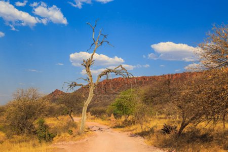 Foto de Andersson Trail en Waterberg Plateau National Park, Kalahari, Otjiwarongo, Namibia, África. Hermoso paisaje africano. - Imagen libre de derechos