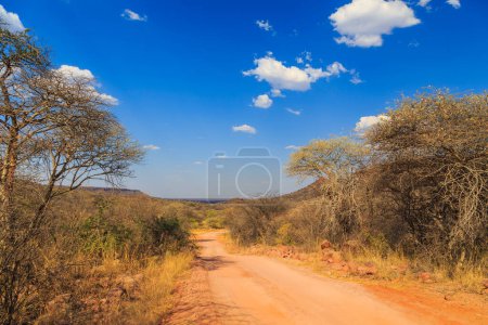 Foto de Andersson Trail en Waterberg Plateau National Park, Kalahari, Otjiwarongo, Namibia, África. Hermoso paisaje africano. - Imagen libre de derechos