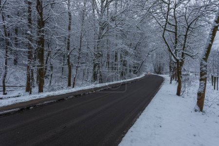 Foto de Vista del nevado Valle de la Alegría. Coche en una carretera. Gdansk, Polonia. - Imagen libre de derechos