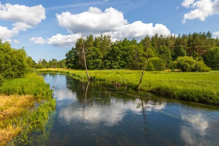 Foto de El río Radunia fluye a través de los lagos. Bosque alrededor, temporada de verano. Kashubia, Pomerania, Polonia. - Imagen libre de derechos