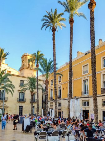 Téléchargez les photos : ALICANTE, ESPAGNE - 3 JUIN 2023 : Place de la Calle Mayor à Alicante avec ses palmiers et son café extérieur. Architecture espagnole et palmier, lieu touristique, centre-ville, concept vacances. - en image libre de droit