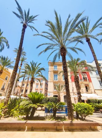 Téléchargez les photos : ALICANTE, ESPAGNE - 5 JUILLET 2023 : Plaza de la Santisima Faz au centre-ville d'Alicante. Palmiers et bâtiments anciens, lieu touristique. - en image libre de droit