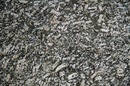 Photo for Lusatian granite considered in detail - Royalty Free Image