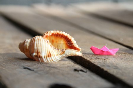 Photo for Seashell on a wooden background. Summer time creative concept. - Royalty Free Image