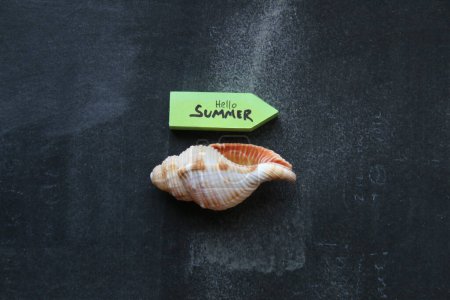 Hola etiqueta de verano. Su concepto de hora de verano.
