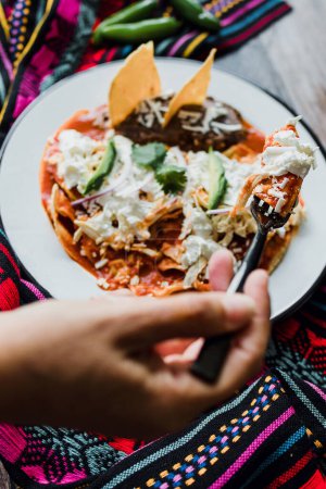 Téléchargez les photos : Chilaquiles mexicains nourriture avec sauce rouge épicée, poulet et avocat petit déjeuner traditionnel au Mexique Amérique latine - en image libre de droit