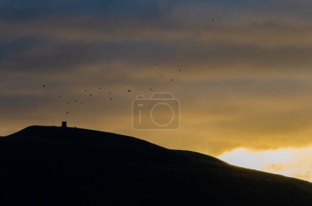 Foto de Manada de aves sobre Rivington Pike Winter Hill al amanecer con siluetas y desenfoque de movimiento - Imagen libre de derechos