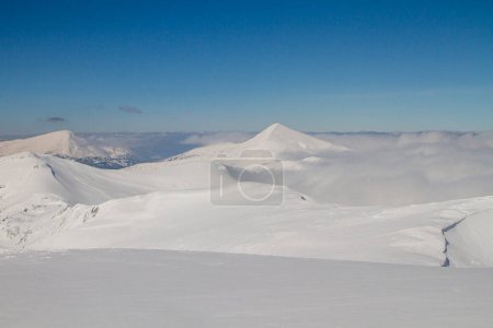 Photo for Sunny and windy winter day in the mountains. Hoverla peak, Chornohora, Carpathian Mountains, Ukraine - Royalty Free Image
