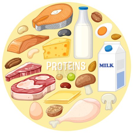Foto de Variedad de alimentos proteicos ilustración - Imagen libre de derechos