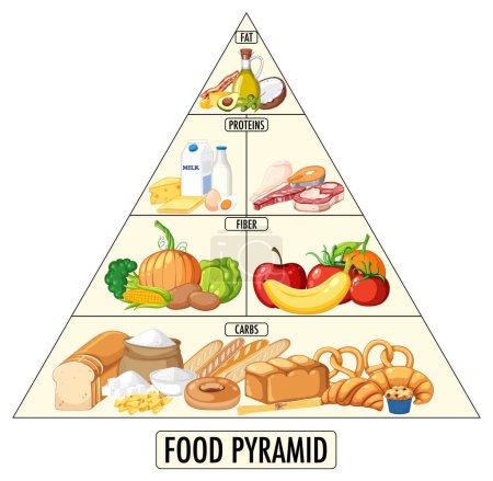 Foto de Grupos de nutrición alimentaria pirámide ilustración - Imagen libre de derechos