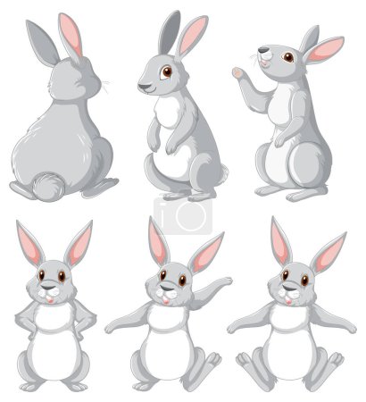 White rabbits in different poses set illustration