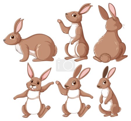 Brown rabbits in different poses set illustration