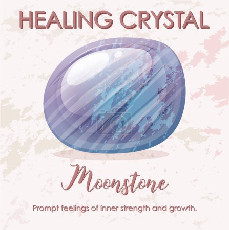 Illustration for Moonstone gemstone with text illustration - Royalty Free Image