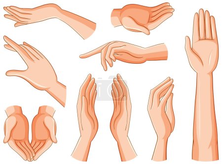 Illustration for Collection of human hands illustration - Royalty Free Image