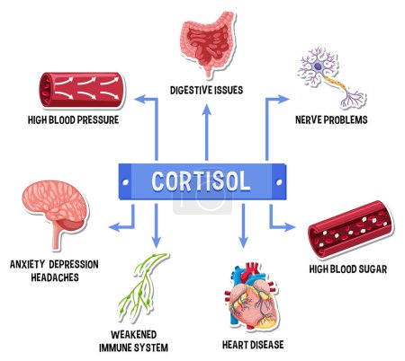 Téléchargez les photos : Schéma du système de cortisol de stress illustration - en image libre de droit