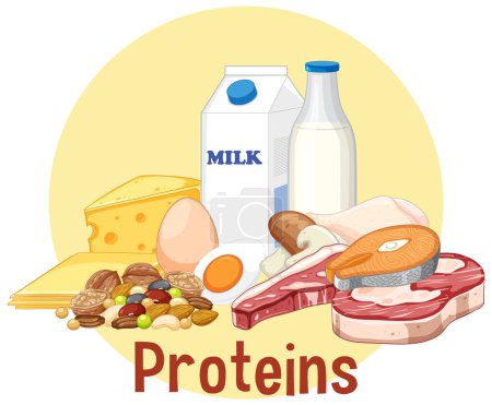 Illustration for Variety of protein foods illustration - Royalty Free Image