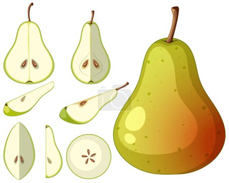 Ripe pear and pear in whole or chopped pieces illustration