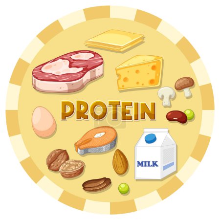 Ilustración de Variedad de alimentos proteicos con ilustración de texto - Imagen libre de derechos