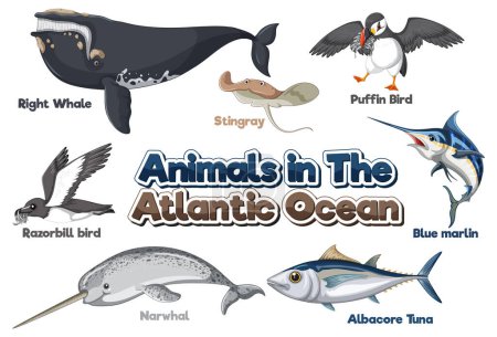 Ilustración de Conjunto de animales en el Océano Atlántico ilustración - Imagen libre de derechos