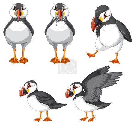 Téléchargez les illustrations : Set of puffin bird cartoon character in different poses illustration - en licence libre de droit